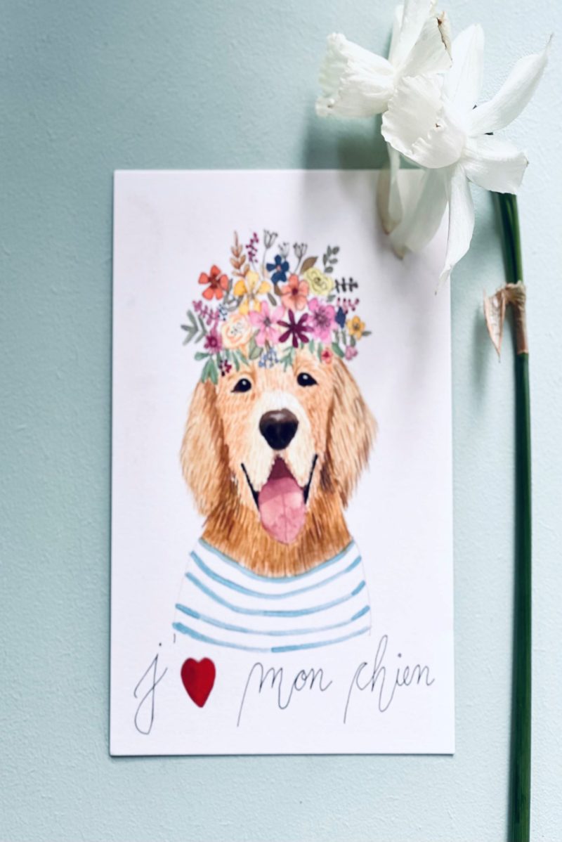 Goldie Postal Card